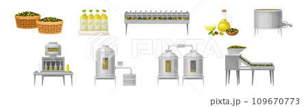 Olive Oil Production and Manufacture Process Vector Illustration Set 109670773
