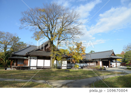 秋の京都御苑　閑院宮邸跡　京都市上京区 109670804