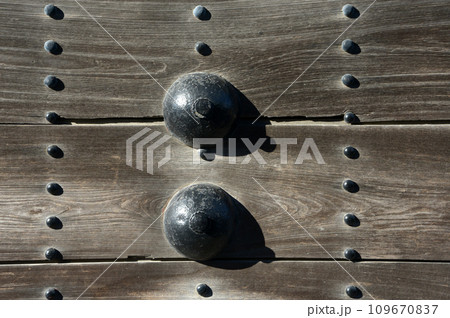 秋の京都御苑　堺町御門の釘隠し　京都市上京区 109670837