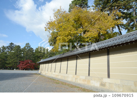秋の京都御苑 御所の築地塀 京都市上京区 秋の京都御苑 御所の築地塀 京都市上京区 109670915