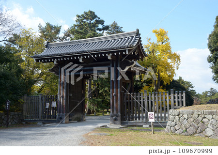 秋の京都御苑　清和院御門　京都市上京区 109670999