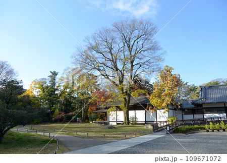 秋の京都御苑　閑院宮邸跡　京都市上京区 109671072