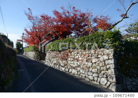 禅華院 石垣と紅葉 京都市左京区修学院 禅華院 石垣と紅葉 京都市左京区修学院 109671480