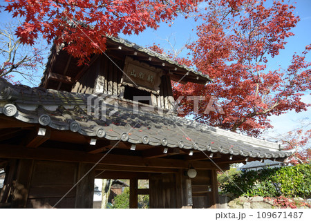 禅華院 山門 京都市左京区修学院 禅華院 山門 京都市左京区修学院 109671487