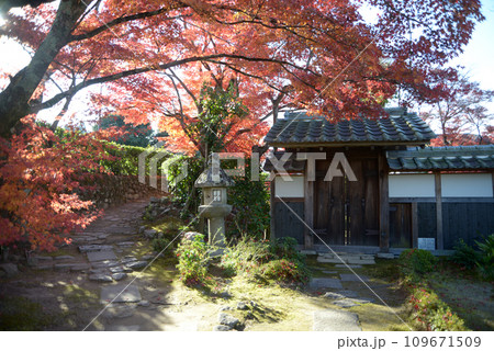 禅華院 境内の紅葉 京都市左京区修学院 禅華院 境内の紅葉 京都市左京区修学院 109671509