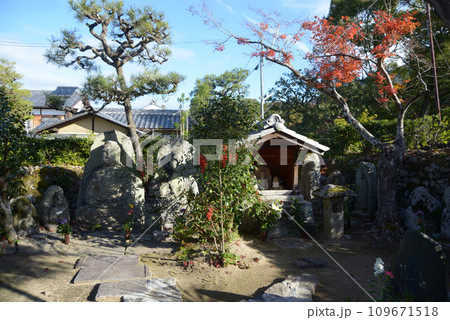 禅華院 境内の石仏 京都市左京区修学院 禅華院 境内の石仏 京都市左京区修学院 109671518