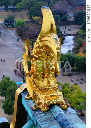 『太閤はんのお城』と親しまれる… 錦城とも呼ばれる大阪城(徳川大阪城)の鯱 『太閤はんのお城』と親しまれる… 錦城とも呼ばれる大阪城(徳川大阪城)の鯱 109672815