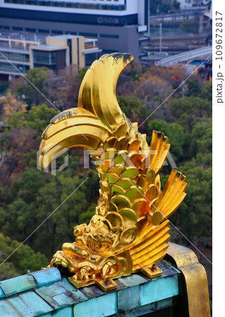 『太閤はんのお城』と親しまれる… 錦城とも呼ばれる大阪城(徳川大阪城)の鯱 『太閤はんのお城』と親しまれる… 錦城とも呼ばれる大阪城(徳川大阪城)の鯱 109672817