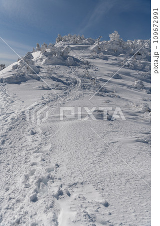 剣ヶ峰山から武尊山に向かう登山道 109672991