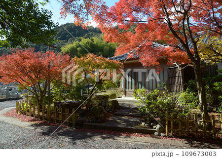 秋の嵯峨野　奥嵯峨の紅葉　京都市右京区 109673003