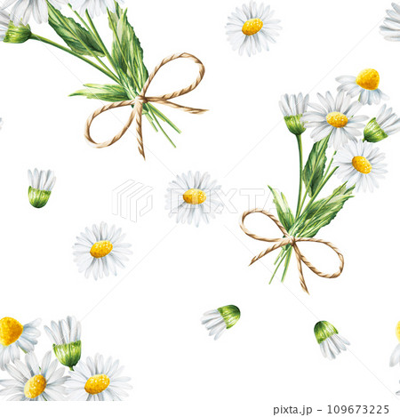 Watercolor seamless pattern with white daisy flowers illustration isolated on white background. Chamomile. Detail of beauty products and botany set, cosmetology and medicine. For designers, spa 109673225
