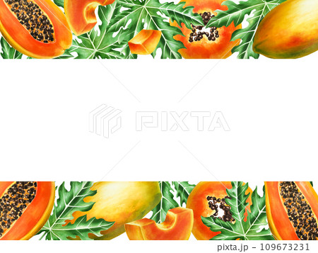 Marker frame, baner and templates with sweet ripe slice of papaya with grains in watercolor style. Hand drawn realistic tasty organic illustration of exotic tropical fruit isolated on background. For 109673231