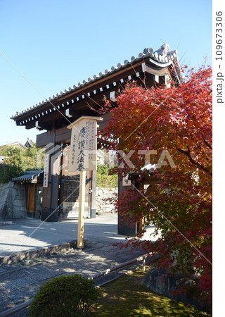 秋の金戒光明寺　高麗門　京都市左京区黒谷 109673306
