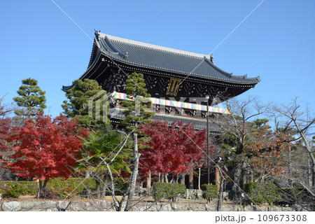 秋の金戒光明寺 山門 京都市左京区黒谷 秋の金戒光明寺 山門 京都市左京区黒谷 109673308