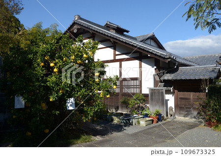 秋の金戒光明寺　西雲院の庫裏　京都市左京区黒谷 109673325