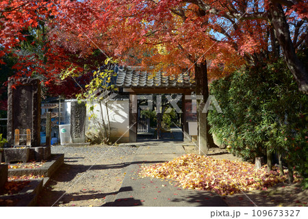 秋の金戒光明寺 西雲院の東門 京都市左京区黒谷 秋の金戒光明寺 西雲院の東門 京都市左京区黒谷 109673327