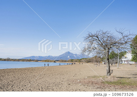 福島　猪苗代湖の志田浜 109673526