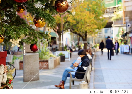 クリスマスツリーのある自由が丘の緑道 クリスマスツリーのある自由が丘の緑道 109673527