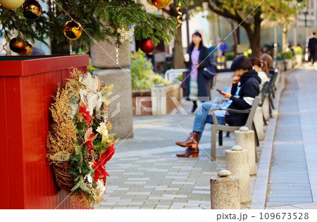 クリスマスツリーのある自由が丘の緑道 クリスマスツリーのある自由が丘の緑道 109673528