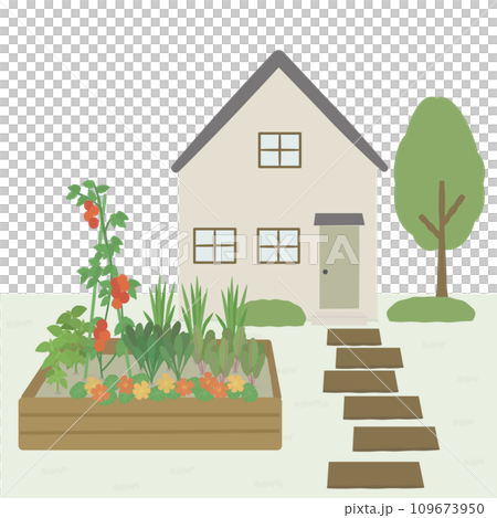 vegetable garden in front of the house 109673950