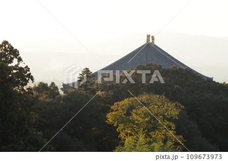 二月堂から見た東大寺の屋根 二月堂から見た東大寺の屋根 109673973