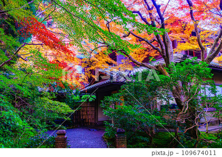 京都、八瀬の瑠璃光院 京都、八瀬の瑠璃光院 109674011