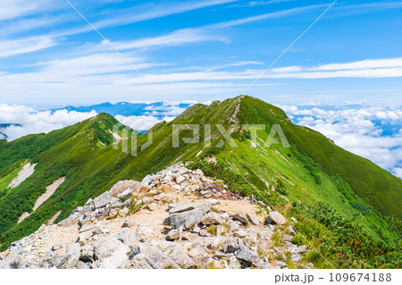 夏の爺ヶ岳登山（爺ヶ岳中峰と北峰） 109674188