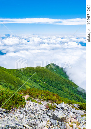 夏の爺ヶ岳登山（雲海） 109674204