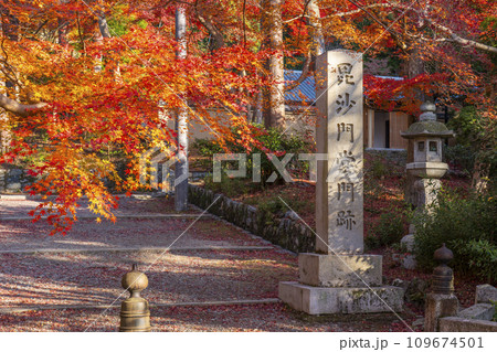 秋の京都 毘沙門堂 参道入口の紅葉と寺標 秋の京都 毘沙門堂 参道入口の紅葉と寺標 109674501