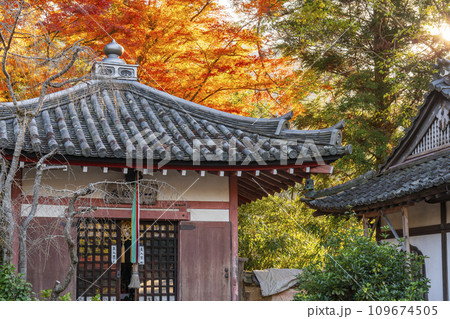 秋の京都　毘沙門堂　紅葉と一切経蔵　 109674505