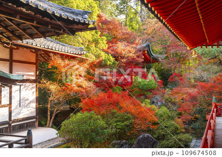 秋の京都　毘沙門堂　紅葉に包まれた高台弁財天 109674508