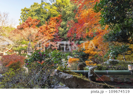秋の京都　毘沙門堂　紅葉に包まれた晩翠園 109674519