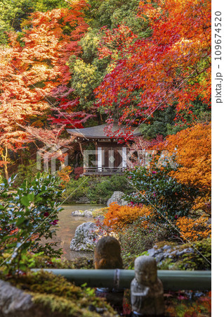 秋の京都 毘沙門堂 紅葉に包まれた晩翠園 秋の京都 毘沙門堂 紅葉に包まれた晩翠園 109674520