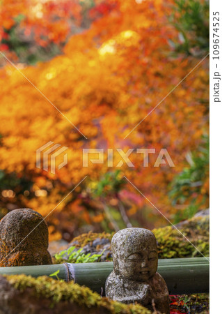 秋の京都　毘沙門堂　紅葉に包まれた晩翠園 109674525