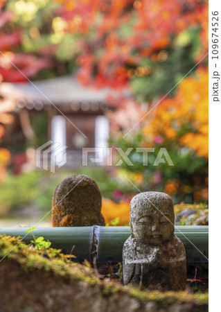 秋の京都　毘沙門堂　紅葉に包まれた晩翠園 109674526