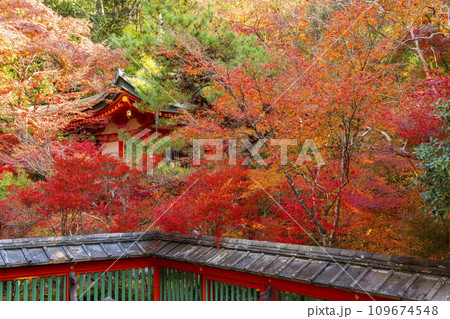 秋の京都 毘沙門堂 紅葉に包まれた高台弁財天 秋の京都 毘沙門堂 紅葉に包まれた高台弁財天 109674548