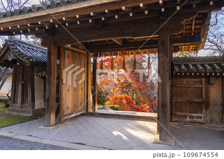 秋の京都 毘沙門堂 薬医門から見る紅葉 秋の京都 毘沙門堂 薬医門から見る紅葉 109674554