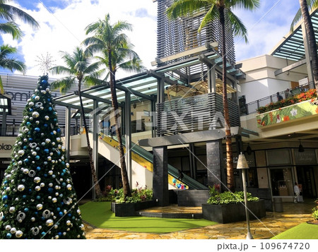 『ハワイ』アラモアナショッピングセンタ−X’masツリー 109674720