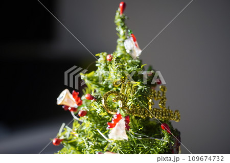 クリスマスホーリー クリスマス・ホーリー クリスマスツリー 109674732