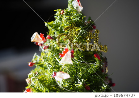 クリスマスホーリー クリスマス・ホーリー クリスマスツリー 109674737