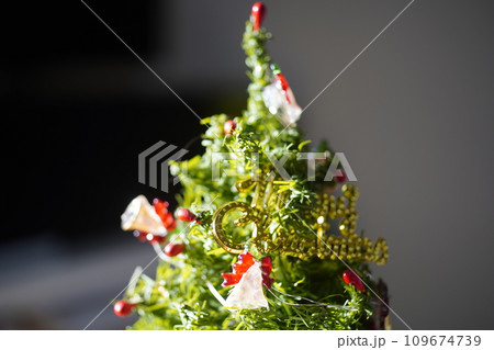 クリスマスホーリー クリスマス・ホーリー クリスマスツリー 109674739
