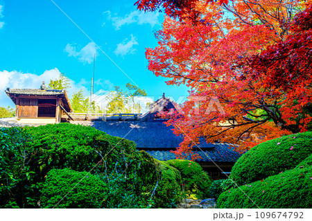 京都、一乗寺の詩仙堂丈山寺 京都、一乗寺の詩仙堂丈山寺 109674792