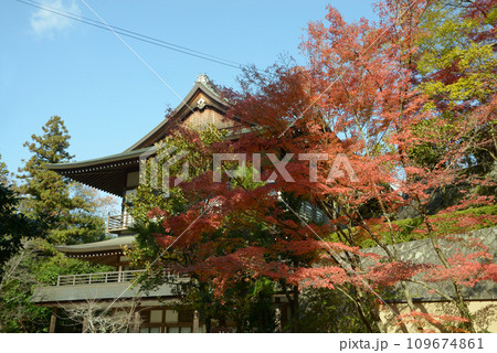 秋の今熊野観音寺　境内の紅葉　京都市東山区泉涌寺 109674861