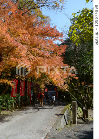 秋の今熊野観音寺 参道の紅葉 京都市東山区泉涌寺 秋の今熊野観音寺 参道の紅葉 京都市東山区泉涌寺 109674899