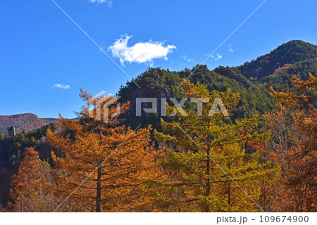 信州　廻り目平キャンプ場　秋晴れの紅葉景色 109674900