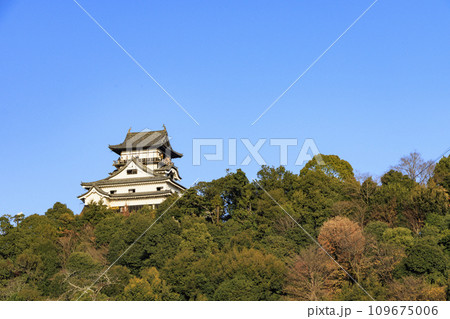 晩秋の国宝犬山城 109675006