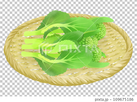 ザルにのった菜の花のイラストセット ザルにのった菜の花のイラストセット 109675186