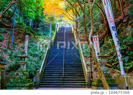 京都、一乗寺の狸谷山不動院 京都、一乗寺の狸谷山不動院 109675366