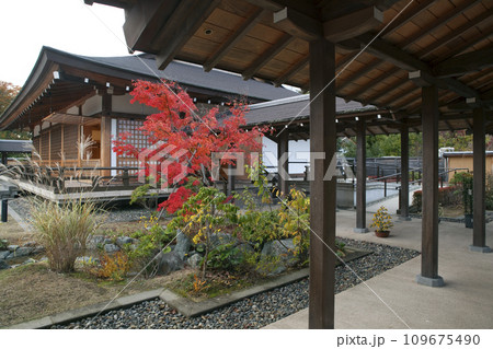 紅葉の勿来の関公園の吹風殿 109675490
