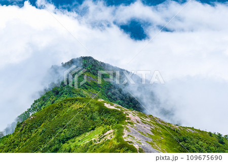 夏の爺ヶ岳登山（雲海） 109675690